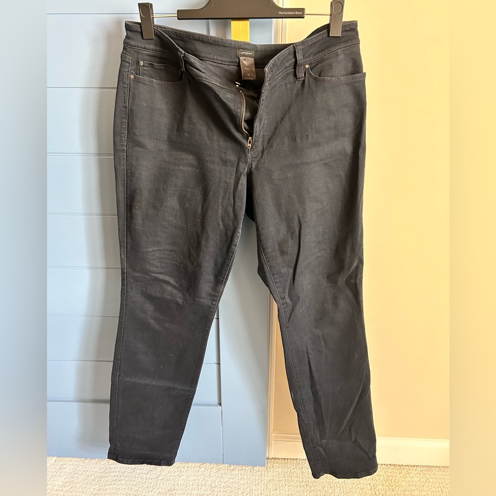 Ann Taylor Skinny Jean